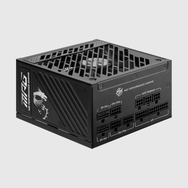 MPG A1250GS PCIE5
